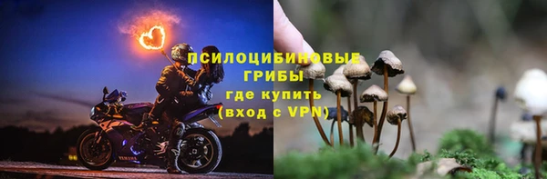 мяу мяу мука Волоколамск