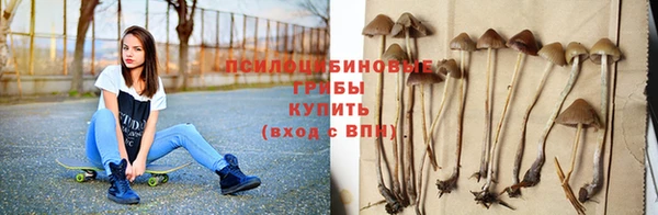 MDMA Premium VHQ Волосово